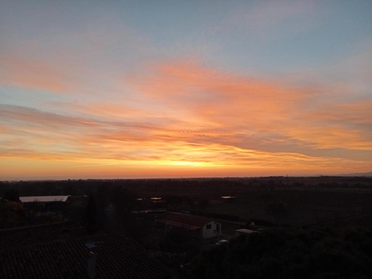 Le Mas Palegry Chambres D'Hotes Perpignan Bagian luar foto