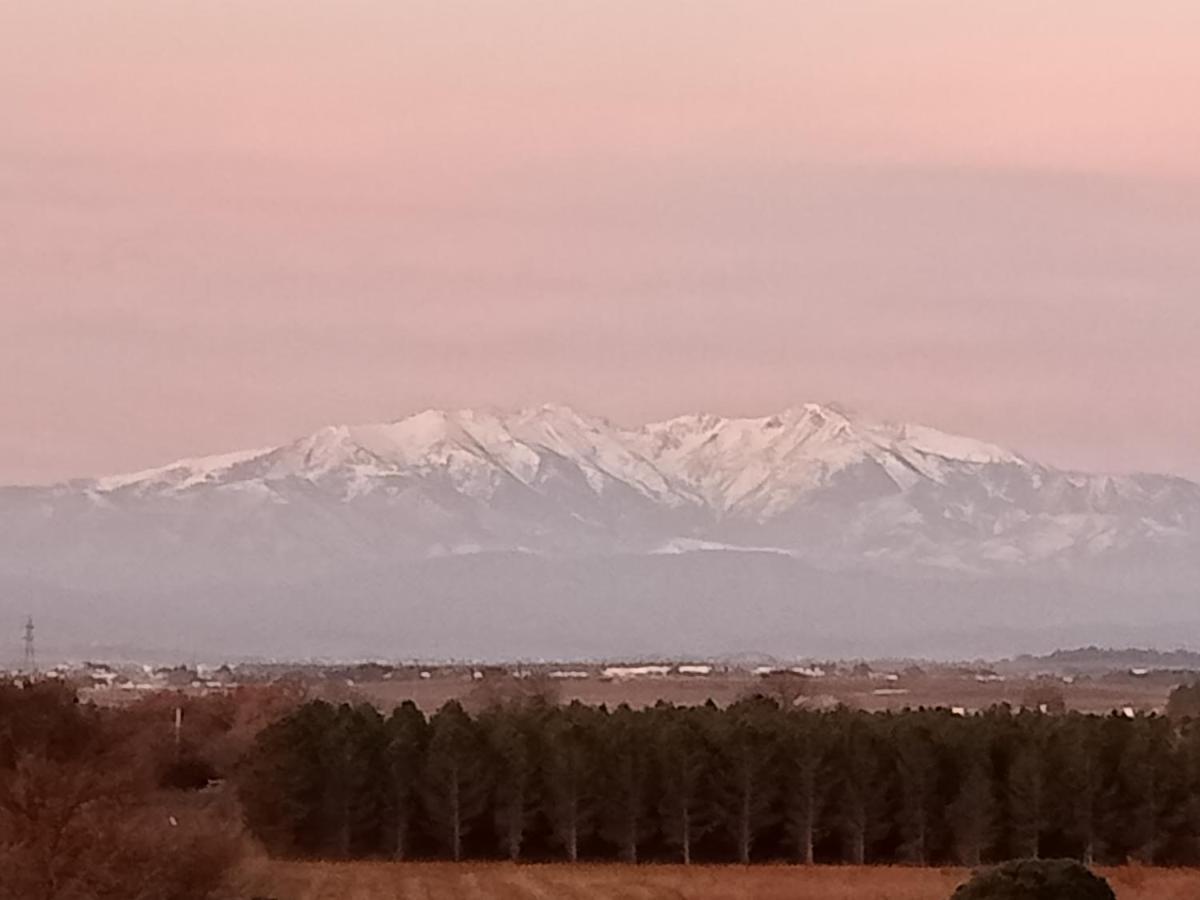 Le Mas Palegry Chambres D'Hotes Perpignan Bagian luar foto