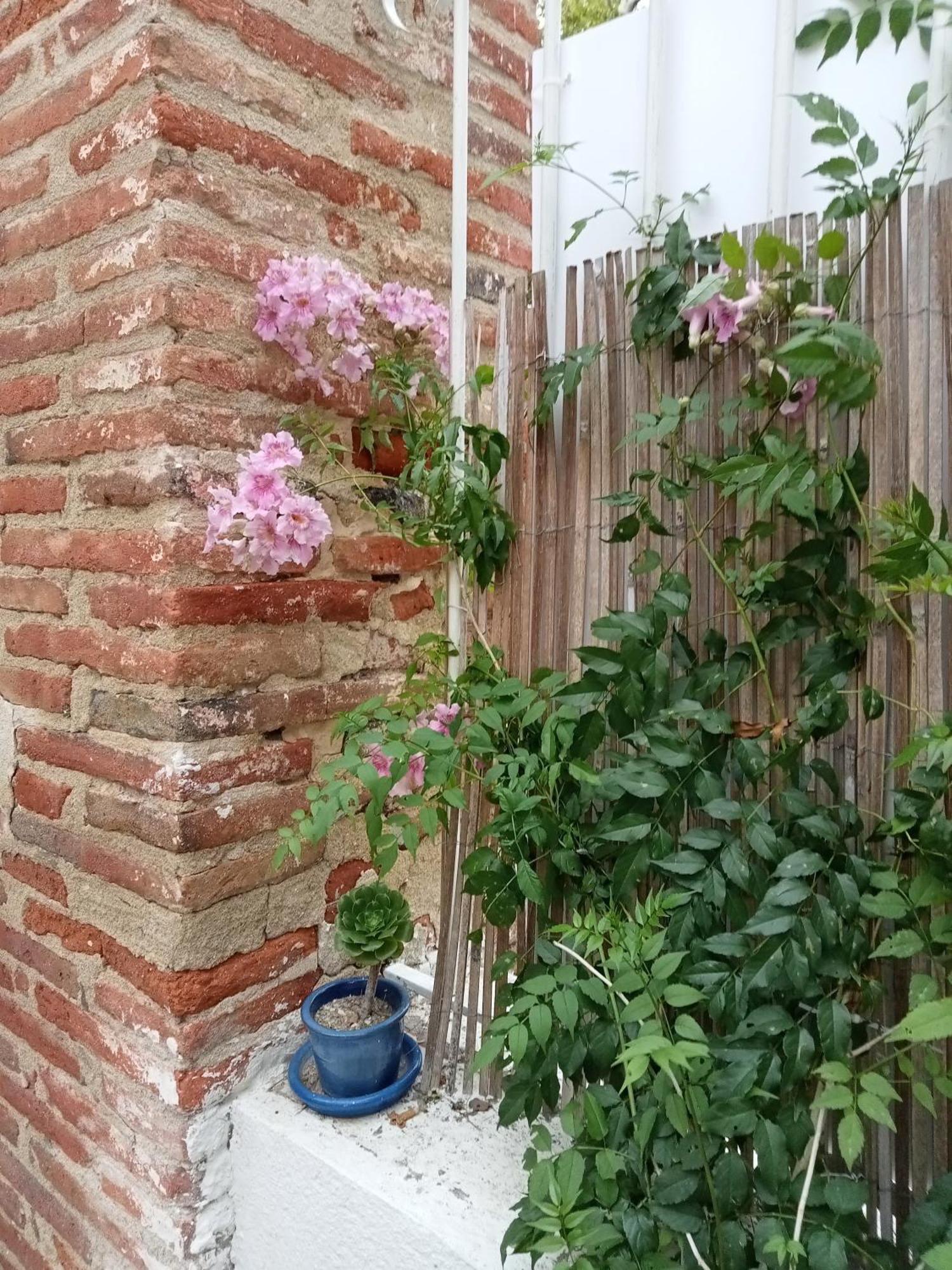 Le Mas Palegry Chambres D'Hotes Perpignan Bagian luar foto