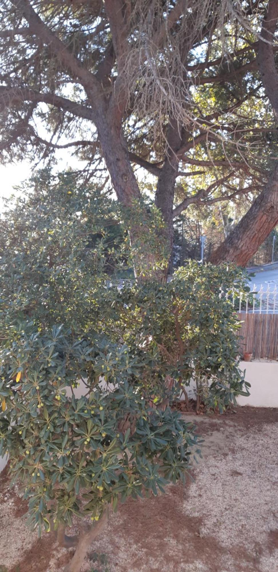 Le Mas Palegry Chambres D'Hotes Perpignan Bagian luar foto